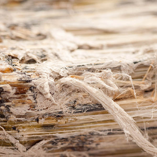 Asbestos Exposure Compensation Claim Specialists / No Win, No Fee / Accident Claims Bournemouth